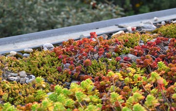 the cost of Cockerham green roof installation