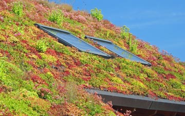 Cockerham living roof systems