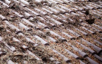 Cockerham roof cleaning companies