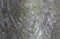 Cockerham fibreglass roof work